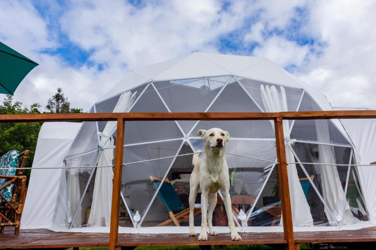 Glamping Claro De Luna Гуатавита Экстерьер фото
